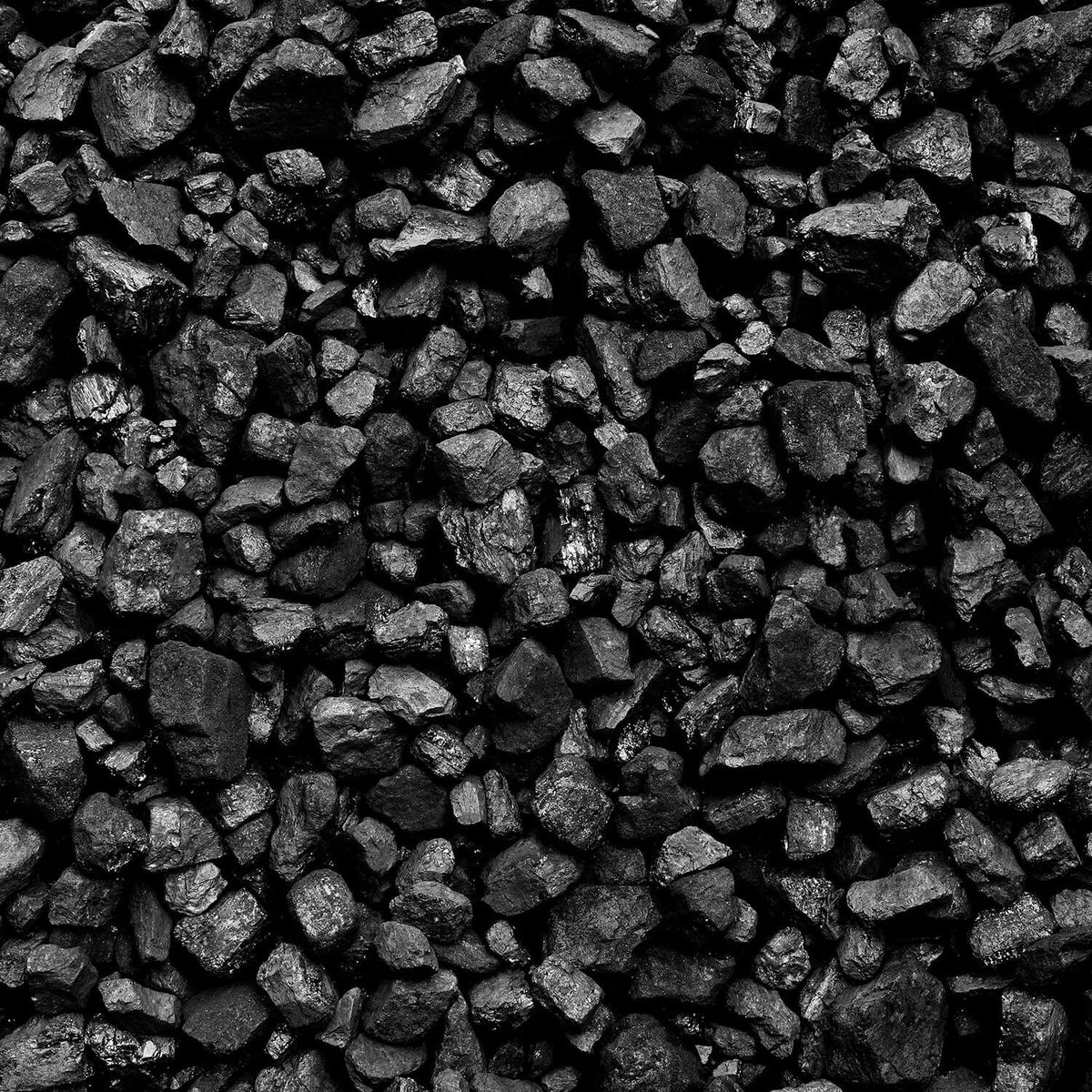 Hard Coal 5-25mm Pallet 50 x 20kg